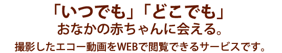 「いつでも」「どこでも」おなかの赤ちゃんに会える。撮影したエコー動画をWebで閲覧できるサービスです