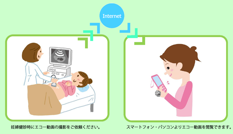 妊婦健診時にエコー動画の撮影をご依頼ください / スマートフォン・パソコンよりエコー動画を閲覧できます