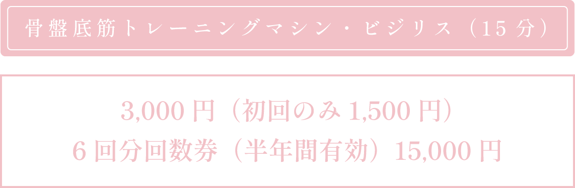 骨盤底筋トレーニングマシン・ビジリス
